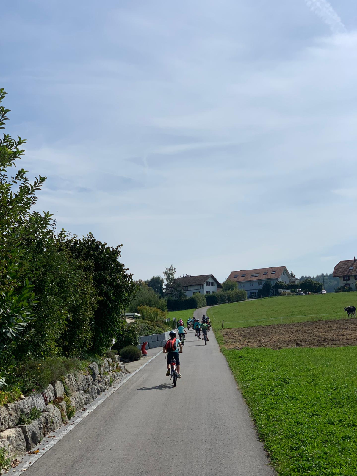 Bild (46)